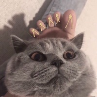 午夜放映员